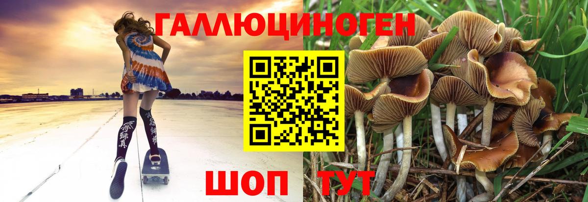 Псилоцибиновые грибы Psilocybine cubensis Мыски