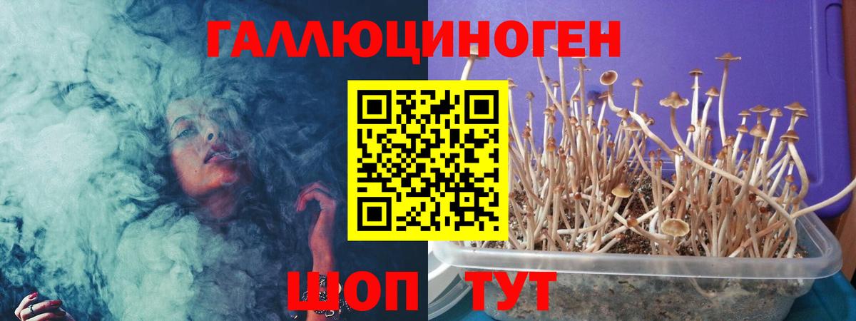 Мыски  Псилоцибиновые грибы мухоморы  Галлюциногенные грибы ЛСД  Вход с VPN 